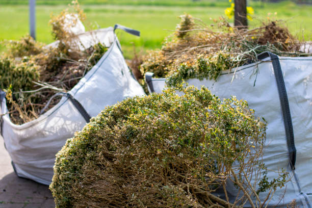 Best Professional Junk Removal  in Westfield, NJ